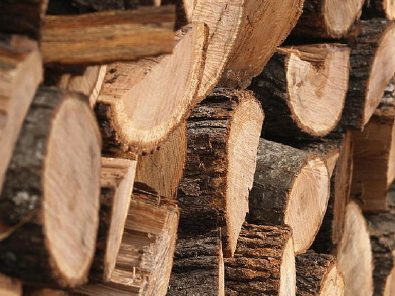 В Одесской области пограничники пресекли незаконный вывоз древесины