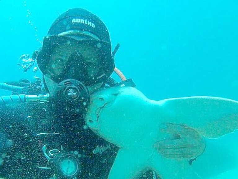 Австралийский аквалангист сделал милый снимок с дружелюбной акулой (ФОТО)