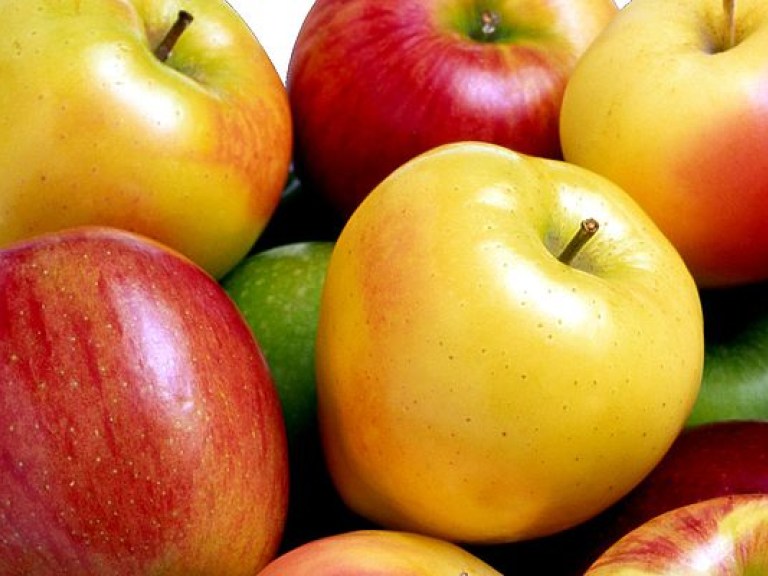 Яблоки в Украине ежемесячно будут дорожать на 10-15% &#8212; эксперт