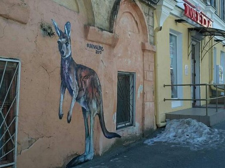 В центре Одессы появился мурал в виде двухметрового кенгуру (ФОТО)