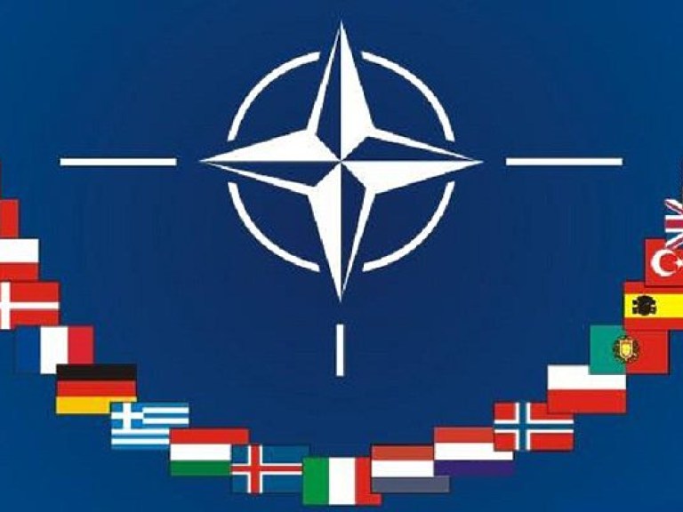 Эксперт: Референдум о вступлении Украины в НАТО ухудшит отношения с западными партнерами