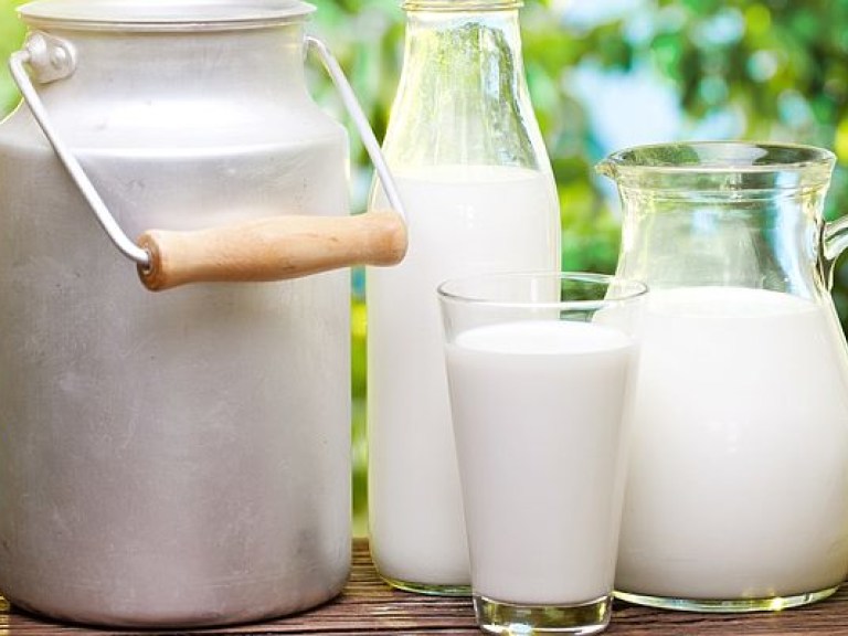 За год в Украине молоко подорожало почти на 50% &#8212; СМИ