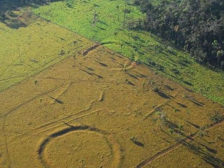 Археологи обнаружили в Бразилии сотни древних «Стоунхенджей» (ФОТО)