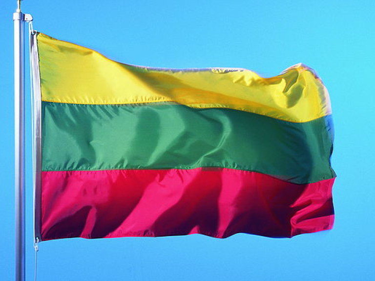 Правительство Литвы одобрило список профессий для украинских специалистов