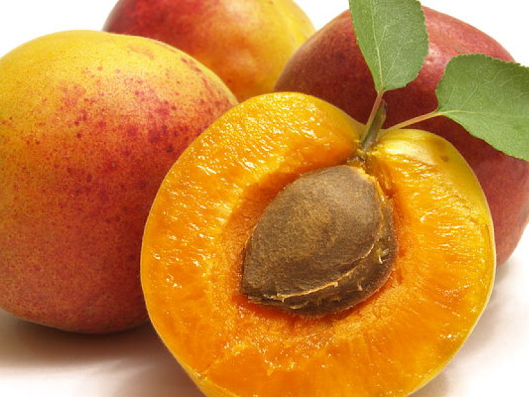 Употребление в пищу абрикосовых косточек может убить человека &#8212; ученые