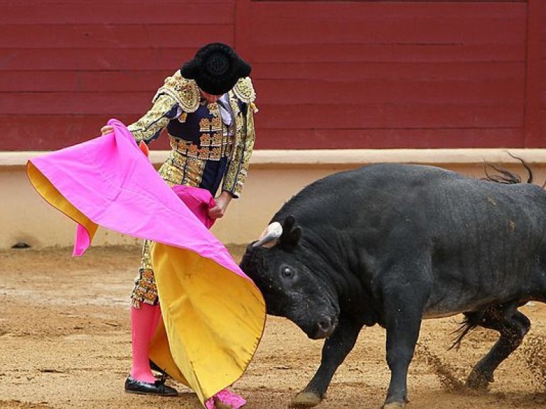 В Мексике два быка устроили жесткую расправу над участниками корриды (ВИДЕО)