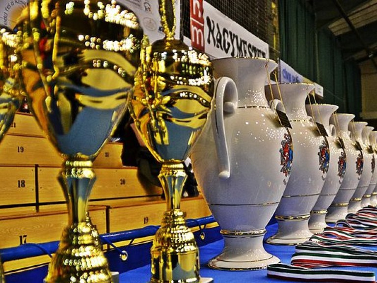 Сборная Украины по боксу выиграла международный турнир в Венгрии