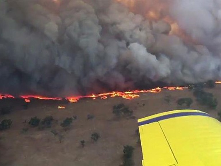 Австралию охватили масштабные пожары (ФОТО)