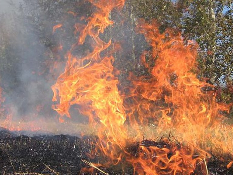 В Австралии в результате масштабных лесных пожаров проводят эвакуацию населения