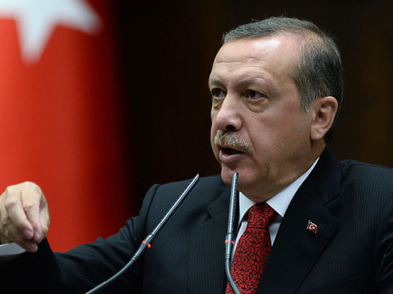 Эрдоган поделился планами создания зон безопасности в Сирии