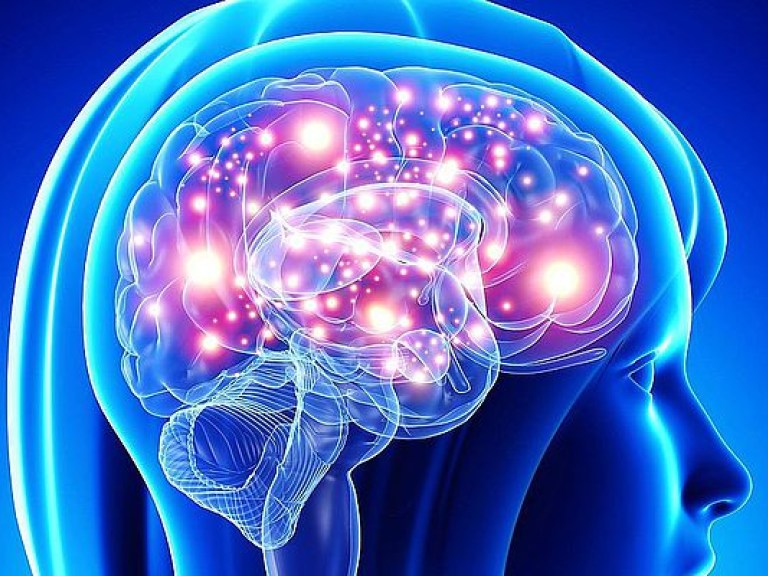Человеческий мозг после сна «загружается» как компьютер &#8212; ученые
