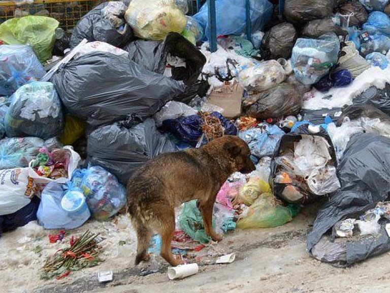 Львовский мусор обнаружили в Кировоградской области (ФОТО)