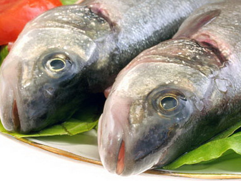 С Азовского моря полностью  «выгребли» ценную рыбу &#8212; эксперт