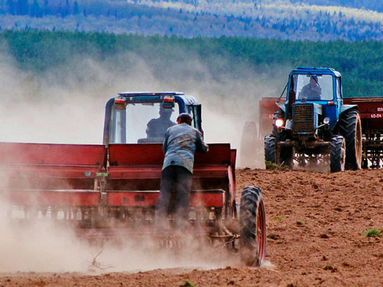 В Украине ранними зерновыми уже засеяли 273 тысяч гектаров