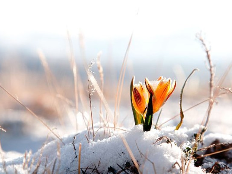 Сегодня День весеннего равноденствия