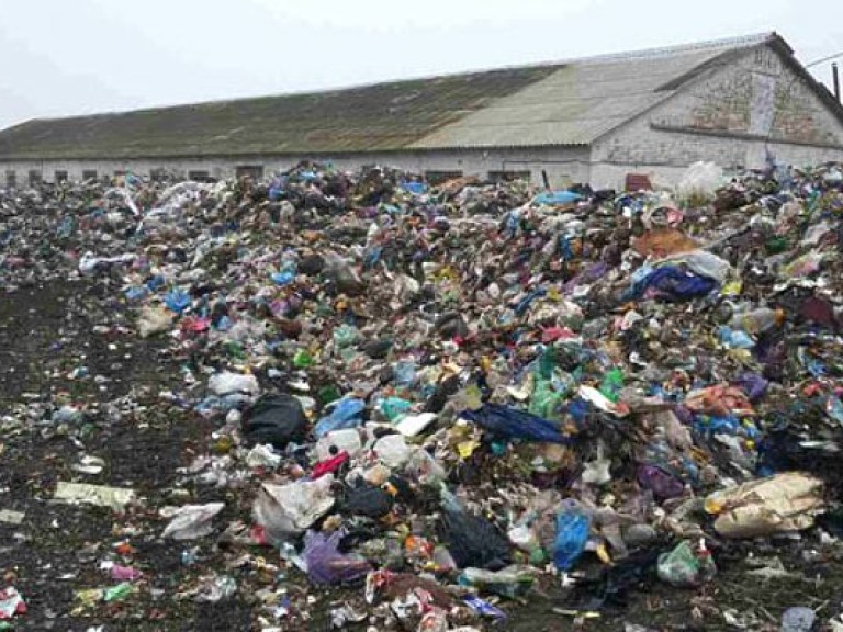 Львовские власти уже передумали закрывать школы из-за засилья мусора – эколог