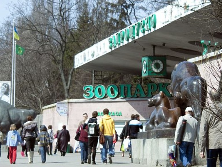 В КГГА сообщили, сколько средств предусмотрено на реконструкцию столичного зоопарка