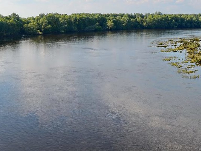 Зарыбление Днепра: В реку выпустили 5 тонн толстолобика, белого амура и карпа