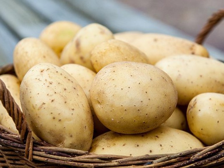 Отсутствие технологий повышает себестоимость украинского картофеля до европейского уровня – эксперт