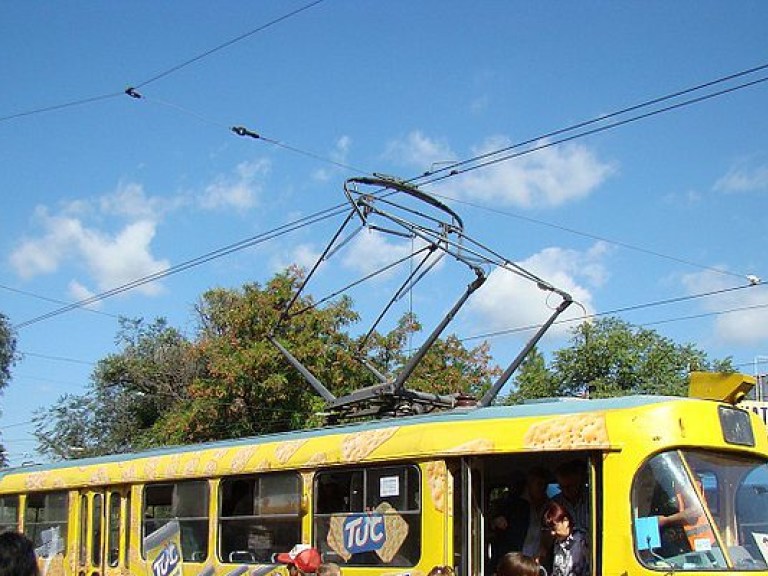 В Киеве 1 апреля часть наземного транспорта изменит маршрут из-за ремонта на проспекте Науки (СХЕМА)