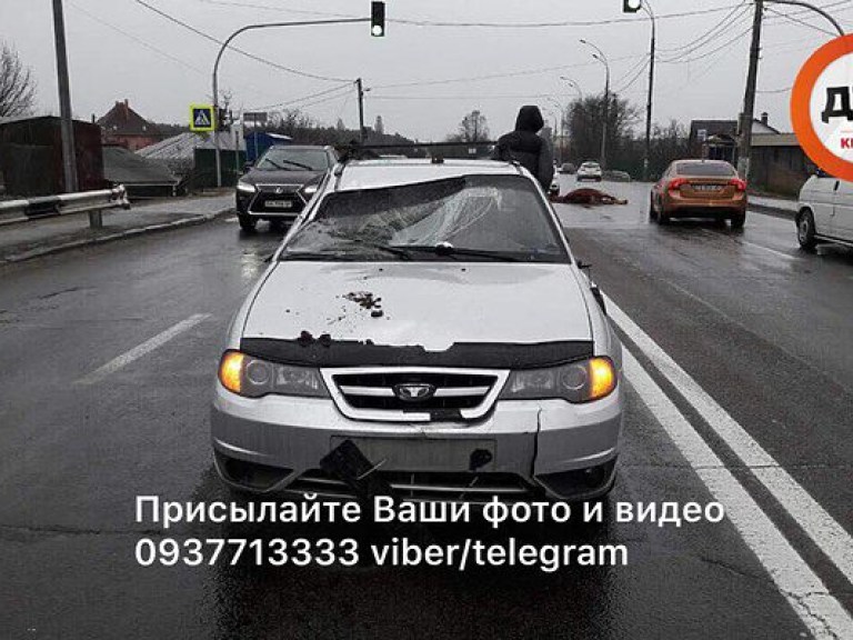 ДТП в Киеве: На Столичном шоссе легковушка сбила лошадь (ФОТО)