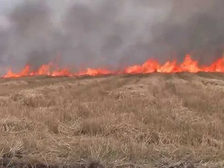 Житель Черновицкой области во время сжигания травы получил ожоги &#8212; ГСЧС