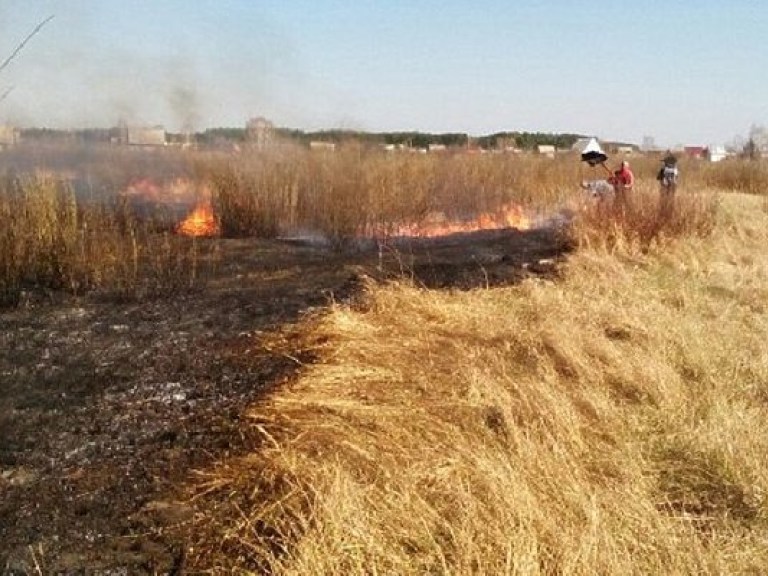 На полях Киевской и Полтавской областей полыхают пожары – ГСЧС (ФОТО)
