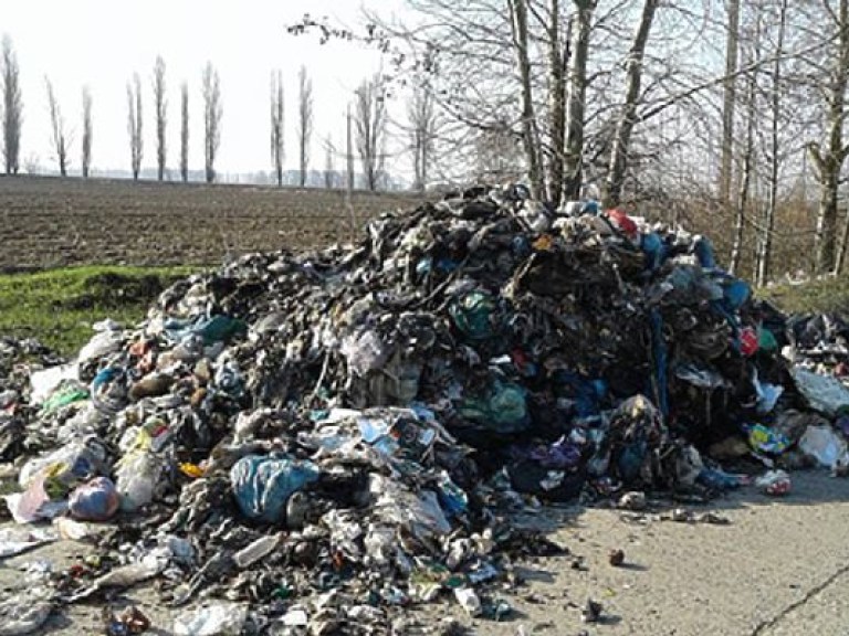 Львовский мусор выгрузили в Киевской области – СМИ (ФОТО)