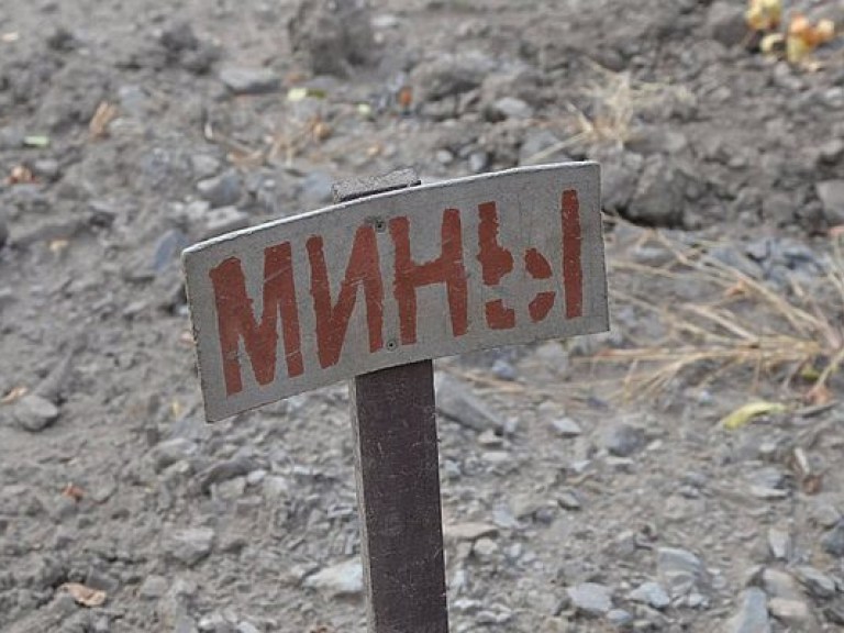 Саперы назвали наиболее заминированные территории Донбасса