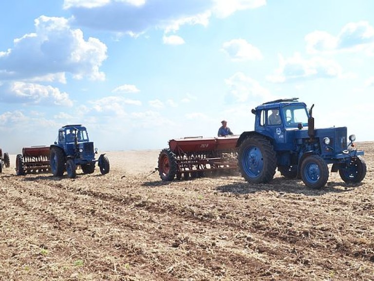 В Украине ранними зерновыми засеяно 1,6 млн га