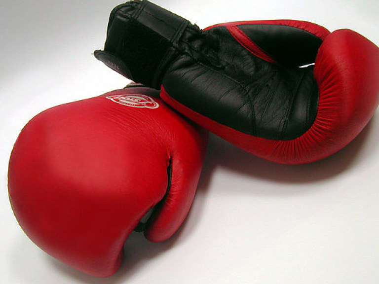 Богачук одержал четвертую за два месяца победу на профи ринге (ВИДЕО)