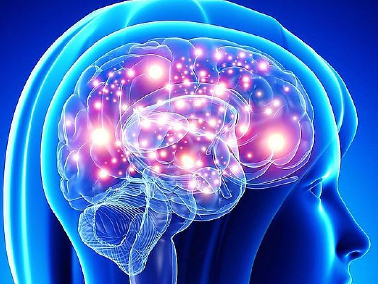 Психолог посоветовал приемы для улучшения работы мозга