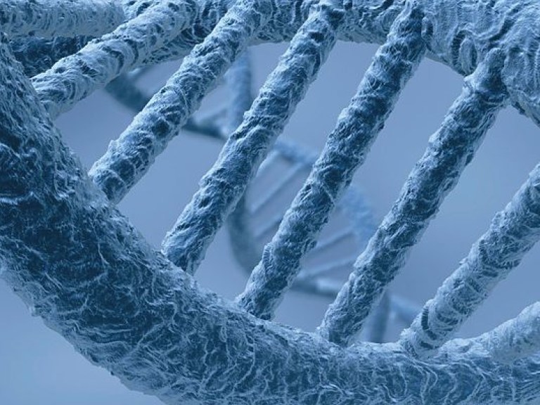 В США разрешили продавать людям тесты на генетический риск болезней