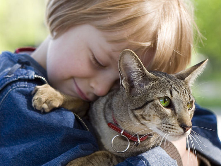 Домашние животные снижают риск развития аллергии и ожирения у детей &#8212; ученые