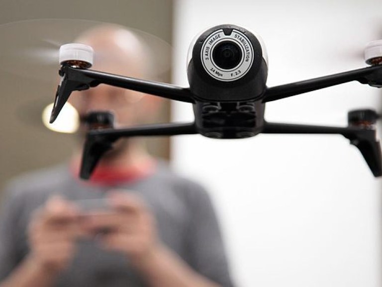 На Ямайке пеликан атаковал в воздухе дрон (ВИДЕО)