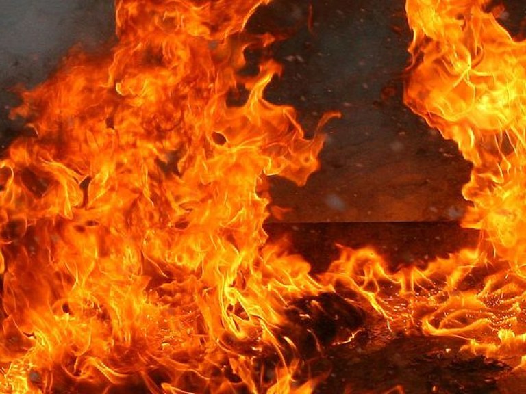 За сутки в Украине произошло 233 пожара