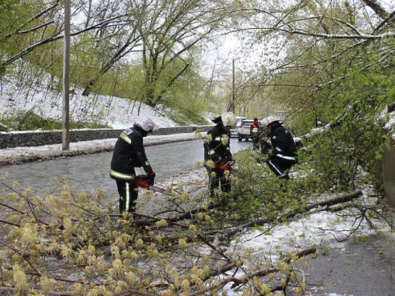 ГСЧС: Из-за непогоды без света остаются почти 230 населенных пунктов