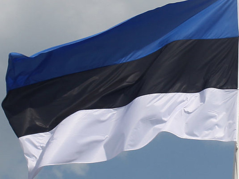 Эстония планирует маркировать водную границу с РФ