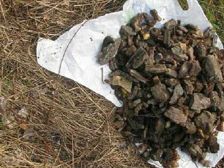 На Ровенщине бомж пытался пронести через границу девять килограммов янтаря (ФОТО)