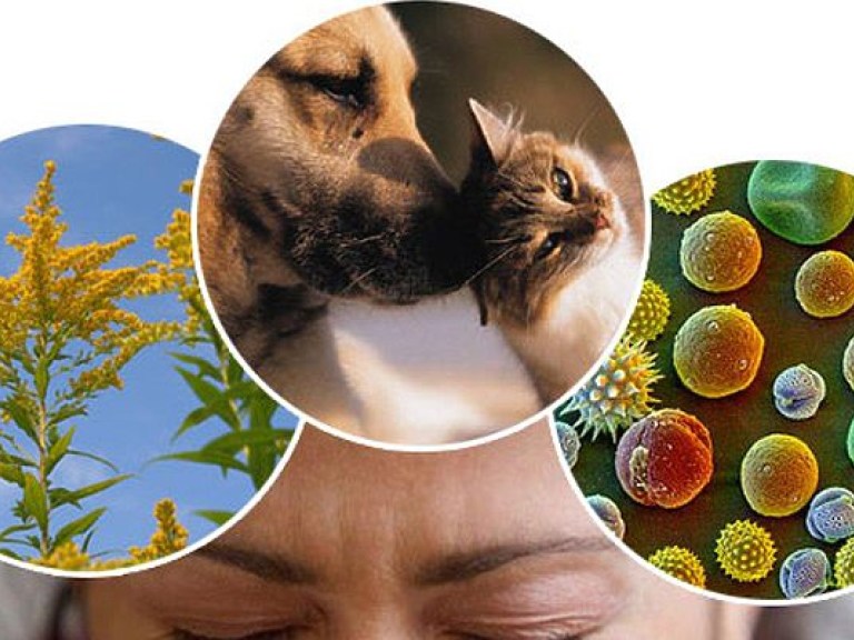 Эксперт рассказал, каких аллергенов стоит опасаться весной