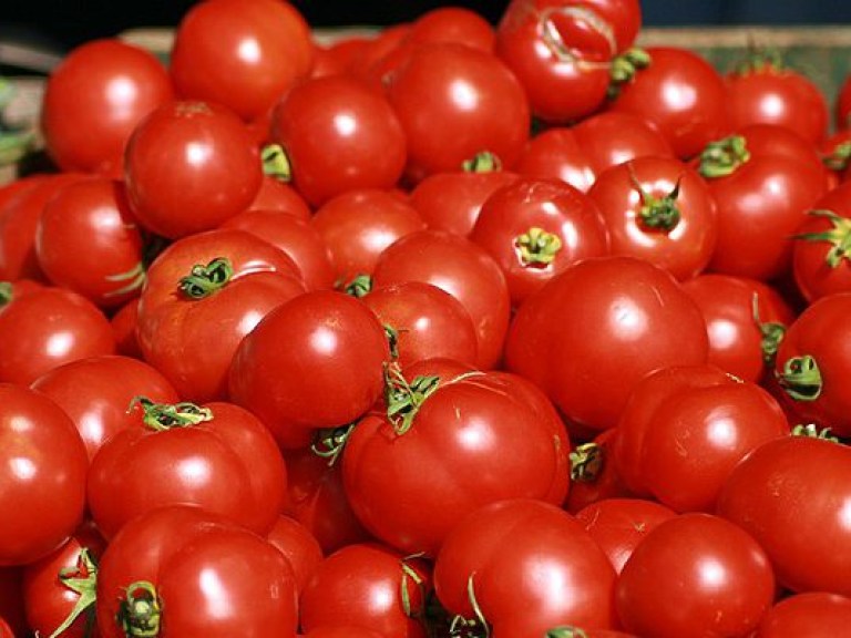 В Японии освоили технологию выращивания помидоров без семян