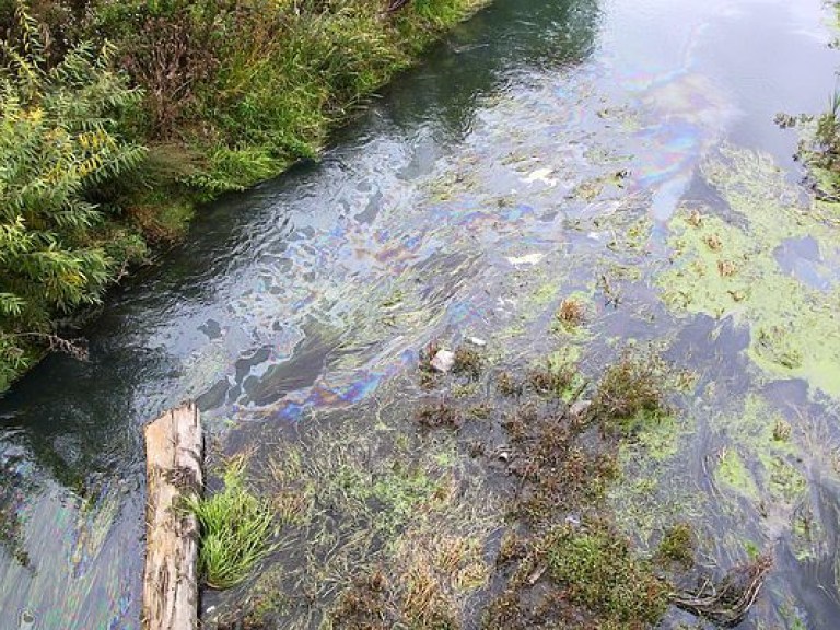 В Ровенской области загрязнены местные реки – экоинспекция