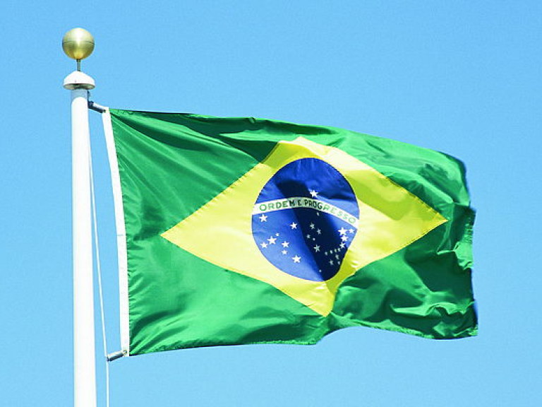 В Бразилии отменили режим ЧП, введенный из-за вируса Зика