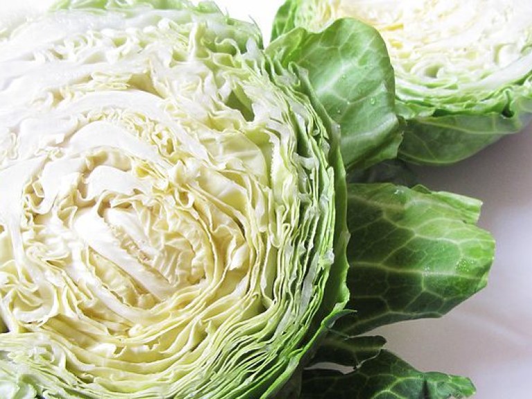 Диетолог: Свежая капуста поможет «сжечь» жировые отложения