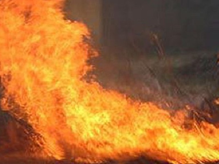 На Киевщине полностью сгорел автомобиль (ФОТО)