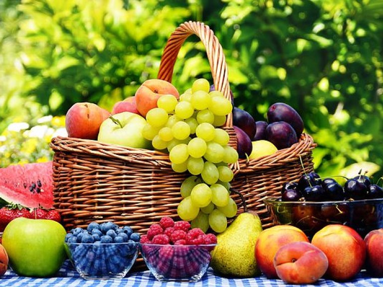 Украина может потерять до 60% урожая фруктов &#8212;  Укрсадпром