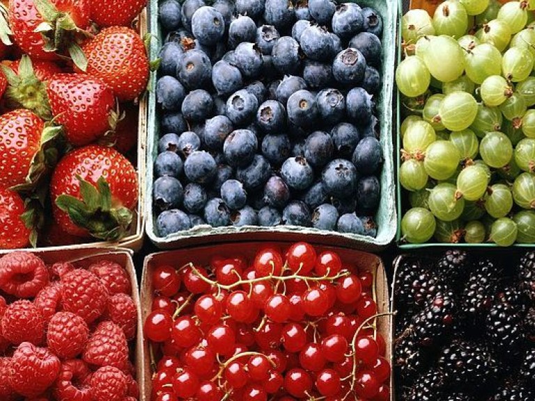 Анонс пресс- конференции: «Вторая волна заморозков: что будет с урожаем ягод и фруктов?»