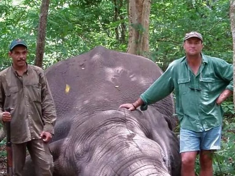 В Зимбабве слон раздавил охотника (ФОТО)