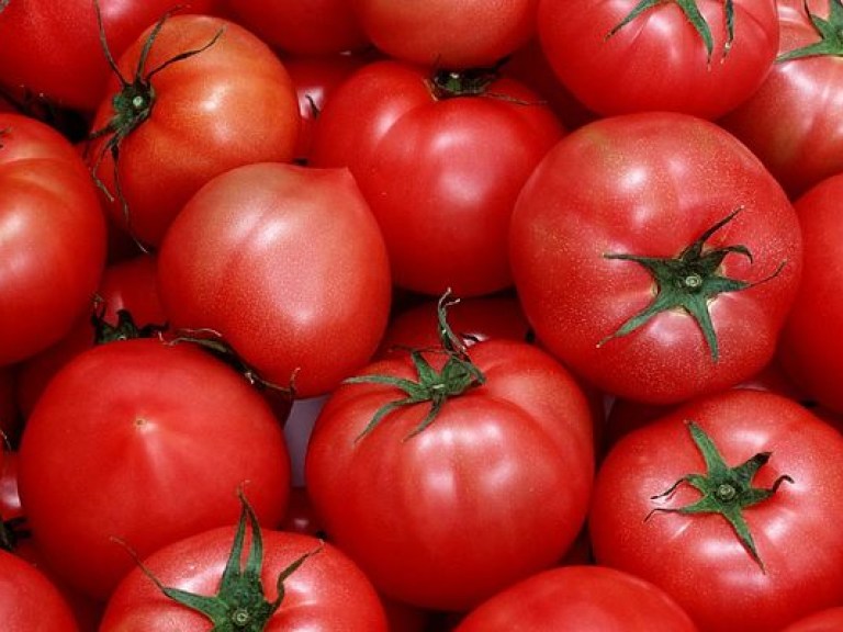 Врач: самым опасным овощем в жару являются помидоры