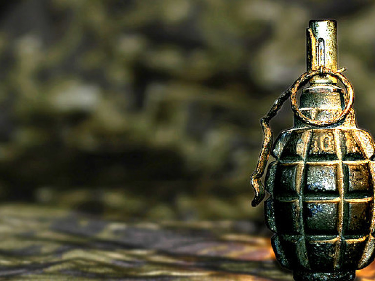 В Киеве на детской площадке нашли боевую гранату Ф-1